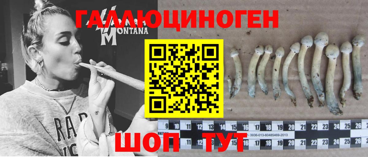 Псилоцибиновые грибы Magic Shrooms  Галлюциногенные грибы MAGIC MUSHROOMS  где купить   Вход с VPN  Белгород 